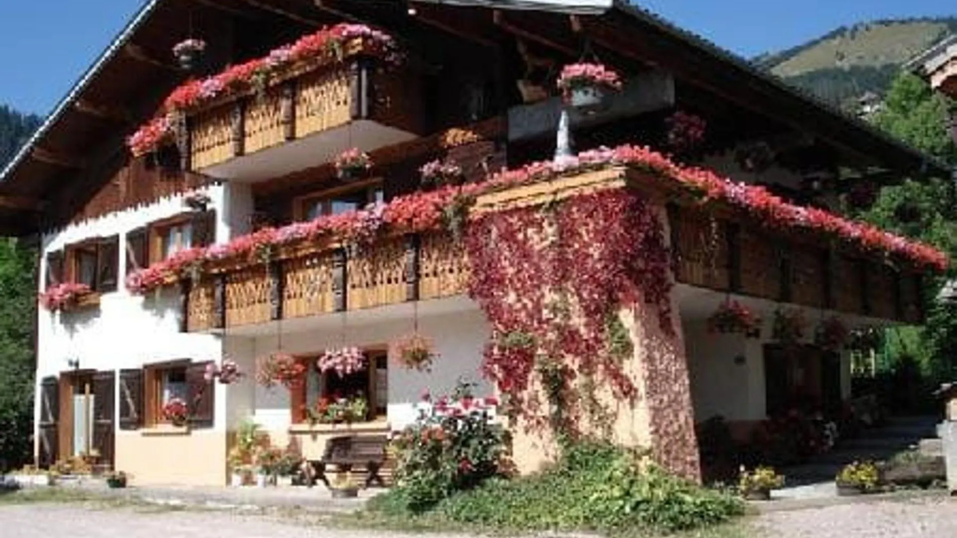 Studio 2 Pers. Chatel, 200M Telesiege, Terrasse, Wifi, Animaux Admis - Fr-1-676-157 Apartment